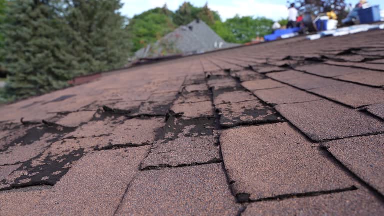 Best Roof Waterproofing  in Elyria, OH